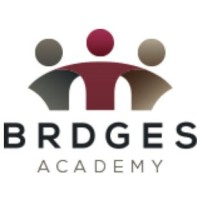 BRDGES Academy logo, BRDGES Academy contact details