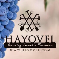 HaYovel logo, HaYovel contact details