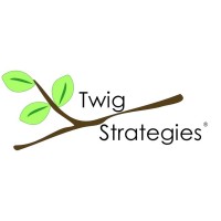 Twig Strategies logo, Twig Strategies contact details