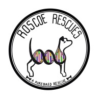 Roscoe Rescues logo, Roscoe Rescues contact details