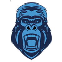 Blue Gorilla Marketing logo, Blue Gorilla Marketing contact details