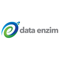 Data Enzim logo, Data Enzim contact details