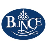 Blince Hydraulic China logo, Blince Hydraulic China contact details