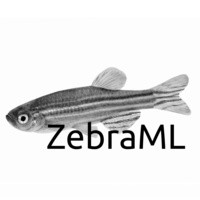 ZebraML logo, ZebraML contact details