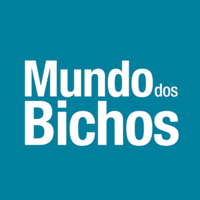 Mundo dos Bichos logo, Mundo dos Bichos contact details