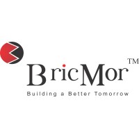 BRICMOR INFRA PROJECTS PRIVATE LIMITED logo, BRICMOR INFRA PROJECTS PRIVATE LIMITED contact details