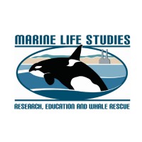 MARINE LIFE STUDIES logo, MARINE LIFE STUDIES contact details