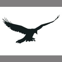 Corvus Capital logo, Corvus Capital contact details