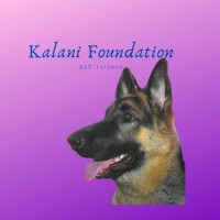 Kalani Foundation EIN: 84-3969651 logo, Kalani Foundation EIN: 84-3969651 contact details