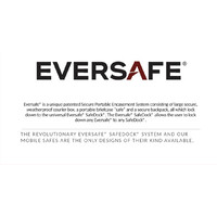 EVERSAFE TECHNOLOGIES LIMITED logo, EVERSAFE TECHNOLOGIES LIMITED contact details