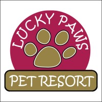 Lucky Paws logo, Lucky Paws contact details