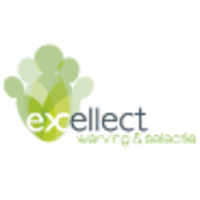 Excellect werving & selectie logo, Excellect werving & selectie contact details