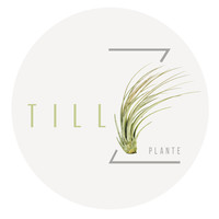 Tillz Plant logo, Tillz Plant contact details