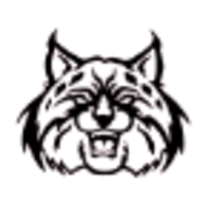 The Wildcat School logo, The Wildcat School contact details