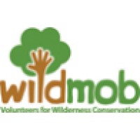 Wild Mob logo, Wild Mob contact details