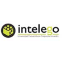 Intelego Learning Ltd. logo, Intelego Learning Ltd. contact details