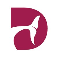 Dolphin AI logo, Dolphin AI contact details