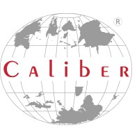 Caliber Tech Solutions LLC logo, Caliber Tech Solutions LLC contact details