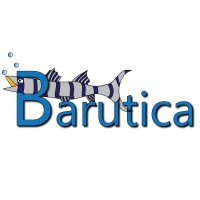 Barutica logo, Barutica contact details