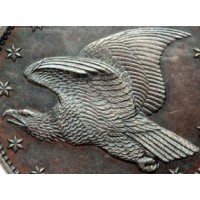 Flying Eagle Cent Patterns logo, Flying Eagle Cent Patterns contact details