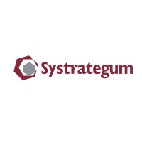 Systrategum Consulting logo, Systrategum Consulting contact details