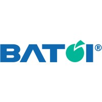 Batoi Systems logo, Batoi Systems contact details