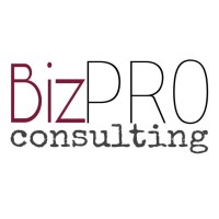 BizPro Consulting logo, BizPro Consulting contact details