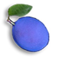 Blue Plum Software logo, Blue Plum Software contact details