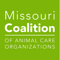 Missouri Coalition of Animal Care Organizations logo, Missouri Coalition of Animal Care Organizations contact details