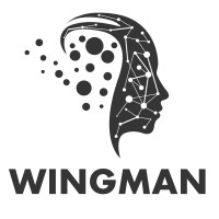 WINGMAN SUPPORT SOLUTIONS logo, WINGMAN SUPPORT SOLUTIONS contact details