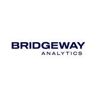 Bridgeway Analytics logo, Bridgeway Analytics contact details