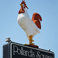 Pollards Chicken logo, Pollards Chicken contact details