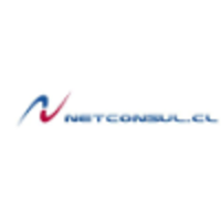 Netconsul.cl logo, Netconsul.cl contact details