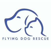 Flying Dog Rescue logo, Flying Dog Rescue contact details