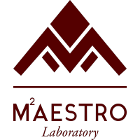 MAESTRO Research lab logo, MAESTRO Research lab contact details