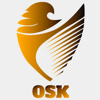 OSK Assessoria e Gestão Empresarial logo, OSK Assessoria e Gestão Empresarial contact details