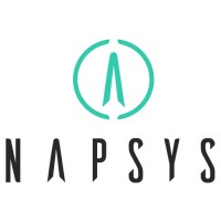 Napsys A.I. Laboratory logo, Napsys A.I. Laboratory contact details