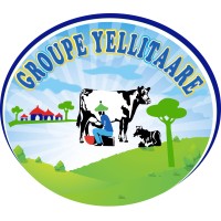 Groupe.Yellitaare logo, Groupe.Yellitaare contact details