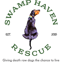 Swamp Haven Rescue logo, Swamp Haven Rescue contact details