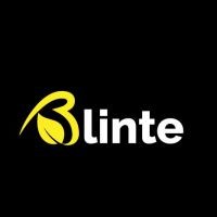 Blinte, Inc. logo, Blinte, Inc. contact details