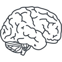 Right Brain Designs logo, Right Brain Designs contact details