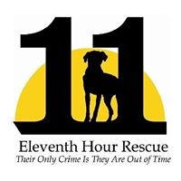 Eleventh Hour Rescue logo, Eleventh Hour Rescue contact details