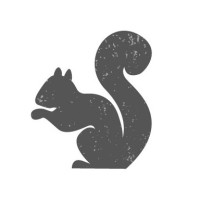 Design Squirrel logo, Design Squirrel contact details