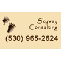 Skyway Consulting logo, Skyway Consulting contact details