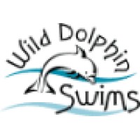 Wild Dolphin Swims Hawaii logo, Wild Dolphin Swims Hawaii contact details