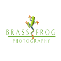 Brass Frog Photography logo, Brass Frog Photography contact details