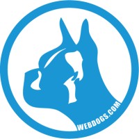 WEBDOGS logo, WEBDOGS contact details