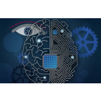 Wired-Mind Labs, LLC logo, Wired-Mind Labs, LLC contact details