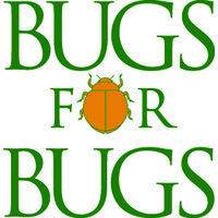 Bugs for Bugs logo, Bugs for Bugs contact details