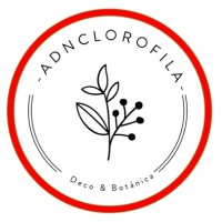 adnclorofila logo, adnclorofila contact details